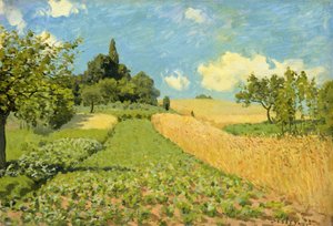 Le Champ de Blé (près d